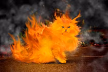 Những thú vui bậc nhất quái đản của người xưa 