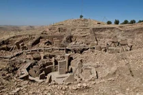 Sự thật thú vị gây sốc quanh ta không phải ai cũng biết