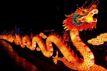 Vén màn bí ẩn chuyện kể ly kỳ về loài rồng "thần thánh" 