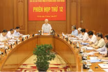 Tổng Bí thư: "Lò nóng lên rồi thì củi tươi vào cũng phải cháy"