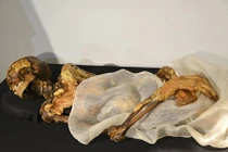 Tận mục xác ướp công chúa “đem lại thiên tai” 