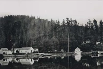 Kỳ quái con lợn suýt thổi bùng chiến tranh Anh - Mỹ 