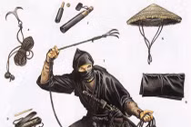 Sự thực gây sốc về Ninja