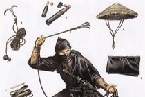 Sự thực gây sốc về Ninja