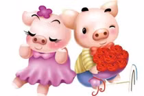 Năm Kỷ Hợi, thầy phong thủy “phán” gì về người tuổi Hợi? 