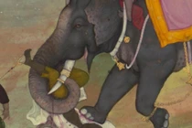 Rùng mình quái chiêu tử hình bằng voi thời Trung cổ