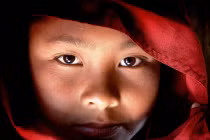 Xuất gia là hiến tặng tất cả cho đời