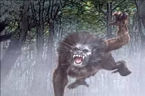 Huyền bí sinh vật di chuyển với tốc độ sấm sét