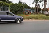 Rùng mình cảnh sư tử tấn công người đi bộ