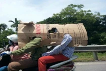 Những hình ảnh hài hước trong đợt nắng nóng kỷ lục ở miền Bắc