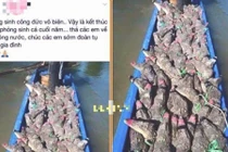 Thiếu nữ đăng ảnh ‘phóng sinh cá sấu’ bị ném đá dữ dội