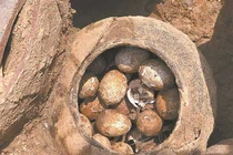 Trứng ngàn năm tuổi bất ngờ tìm thấy trong chiếc vại ở ngôi mộ cổ