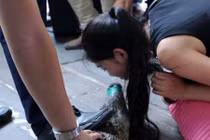 Rùng mình nữ sinh dám hôn cá sấu để được tuyển dụng