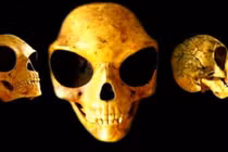 3 phát hiện khảo cổ bí ẩn nhất lịch sử nhân loại 
