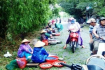 Ngư dân trắng đêm buông lưới mưu sinh mặc lũ về