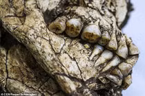 Sự thật kinh ngạc về 2 thi hài 6.000 tuổi còn nguyên vẹn