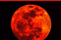 Kỳ bí giai thoại về tứ kỳ trăng máu