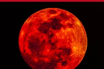 Kỳ bí giai thoại về tứ kỳ trăng máu