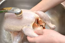 Cách rửa thịt gà sai lầm hàng ngày có thể gây chết người 