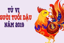 Tử vi tuổi Dậu năm 2019: Tài lộc khởi sắc