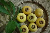 Ăn quả hồng, quả thị đặc biệt lưu ý điều này