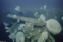 Soi xác tàu sân bay Mỹ sau 65 năm chìm dưới biển