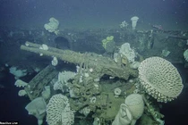 Soi xác tàu sân bay Mỹ sau 65 năm chìm dưới biển