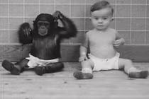 Thí nghiệm hãi hùng trên trẻ em gây rúng động dư luận 