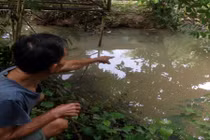 Tức vợ, cha ném con xuống ao trước nhà