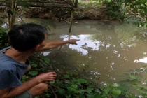 Tức vợ, cha ném con xuống ao trước nhà