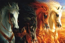 10 thần thoại nổi tiếng về loài ngựa
