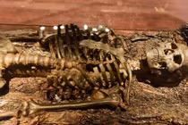 Báu vật khảo cổ Việt: Bí mật ngàn năm trong mộ thuyền