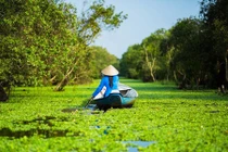 Việt Nam tuyệt đẹp trong ảnh của nhiếp ảnh gia Pháp