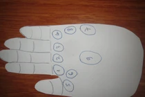 Nhìn gò bàn tay là biết số khổ hay sướng