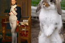 Giật mình kẻ thù không tưởng khiến Napoleon "kinh hồn bạt vía"