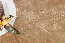 Cực sốt: Đường kẻ Nazca cuối cùng đã được giải mã?