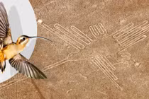 Cực sốt: Đường kẻ Nazca cuối cùng đã được giải mã?