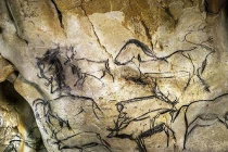 Cận cảnh những kiệt tác bích họa 36.000 năm tuổi