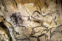 Cận cảnh những kiệt tác bích họa 36.000 năm tuổi