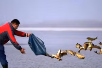 Nghĩ về lòng từ bi với loài vật