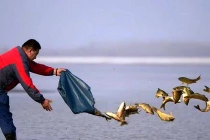 Nghĩ về lòng từ bi với loài vật