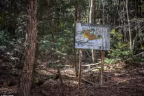 Cảnh tượng ám ảnh bên trong khu rừng tự sát ở Nhật Bản 