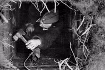 Giải mã cuộc đào thoát vĩ đại nhất Chiến tranh thế giới 2 