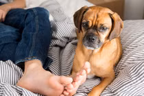 Thủ phạm khiến chân “bốc mùi” và cách khử hôi chân triệt để