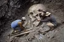 Những bộ xương khổng lồ gây tranh cãi nhất hành tinh 