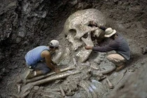 Những bộ xương khổng lồ gây tranh cãi nhất hành tinh 