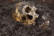 Bí mật khiến hậu thế kinh ngạc trong những ngôi mộ cổ 