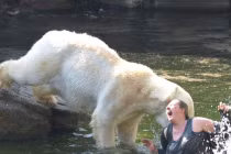 Những khoảnh khắc con người “bạt vía” vì quái thú