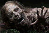 Bất ngờ về nguồn gốc của thây ma sống