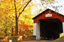 Bí ẩn kinh thiên về cây cầu vọng tiếng khóc trẻ em